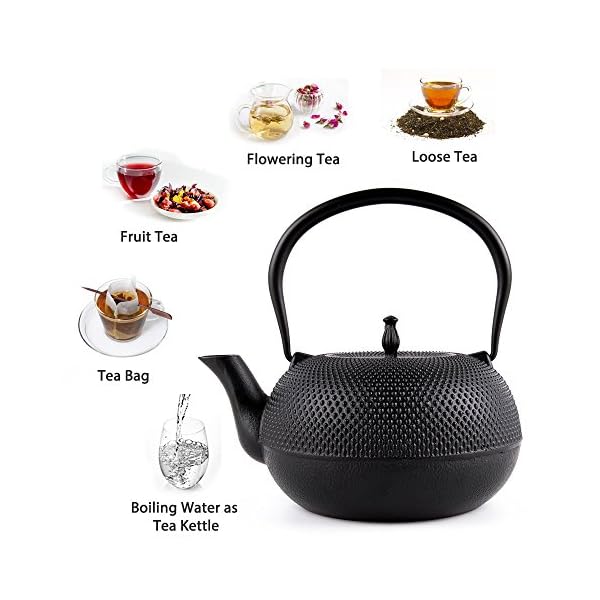 SUSTEAS Tetsubin Cast Iron Teapot with Stainless Steel Infuser Japanese