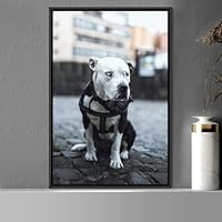Framed Canvas Wall Art Pupper Animals Chic Dogs Multicolor Photography Urban - 16x24 inches