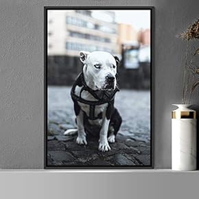 signwin Framed Canvas Wall Art Pupper Animals Chic...