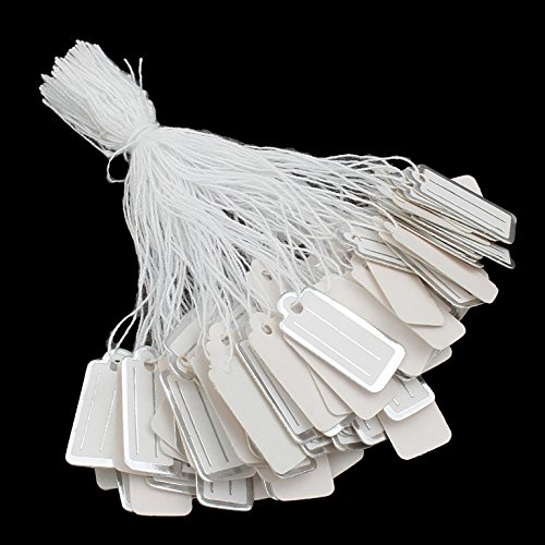 Pack of 300 Labels with Thread Price Labels Price Tags Thread Labels Jewellery Labels String Labels Hanging Labels Cardboard Label Price Labelling (22 x 11 mm White Silver)