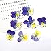 Xinhongo 50 Pcs Real Pansy Pressed Dried Pressed Flowers for Art Craft DIY Preserved Flower Decorations Resin Jewelry Pendant Crafts DIY Cards Making