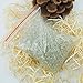 Fashion Gallery 120g 2.5mm Glass Bead for Dry Glass Bead Temperature Sterilizer Box