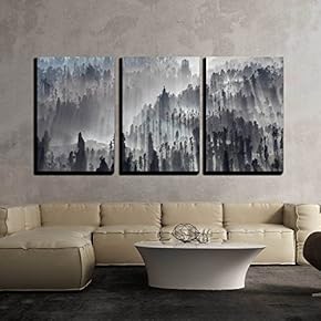 3 Piece Canvas Wall Art - Sunrise in The Forest Near Bromo Volcano, Java Island, Indonesia - Modern Home Art Stretched and Framed Ready to Hang - 16"x24"x3 Panels