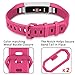 Bands Compatible with Apple Watch