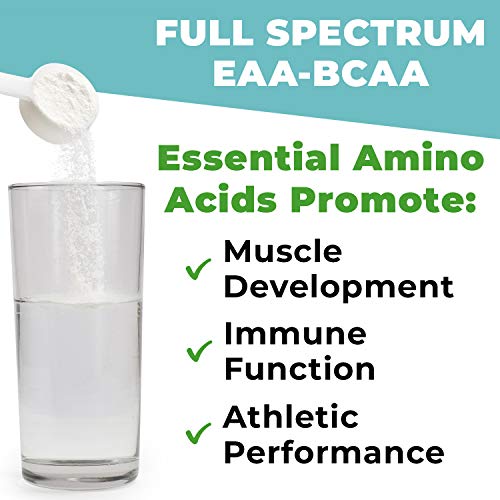 Gold BJJ PostRoll Jiu Jitsu Post Workout Supplement with EAA & BCAA