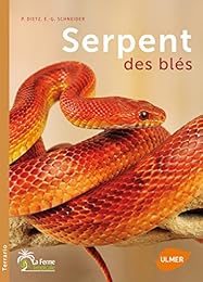 Serpent des blés