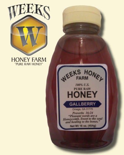 16oz (1lb) - Gallberry Honey - Pure, Raw, Unfiltered, Unheated