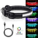 LED Safety Dog Collar - USB Rechargeable Light Up Pet Collar with Color Changing Feature, Flashing Light Glowing Pet Collar- Makes Your Dog Visible, Safe & Seen