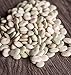 LIMA BEANS JUMBO PERUVIAN- 22lb