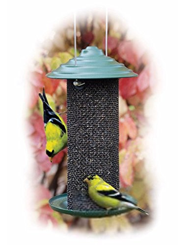 Amazon Com Woodlink Magnum Bird Feeder Thistle Feeder Kitchen