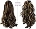 CAISHA 2 IN 1 Ponytail 12