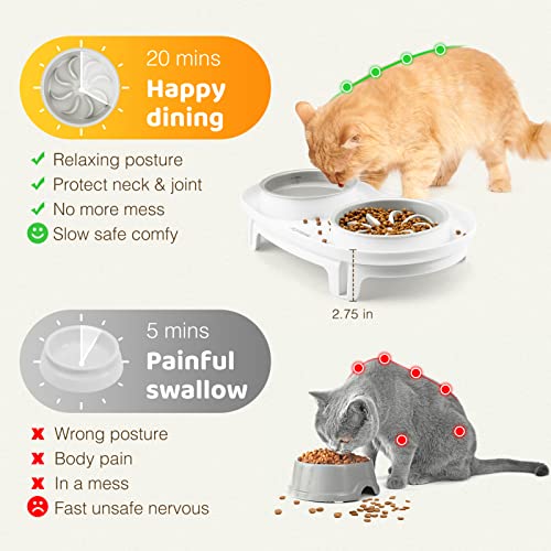 Elevated Cat Slow Feeder Bowl AntiVomiting Bloat Stop Raised Food
