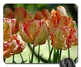 (Precision lock edge mouse pad)MP-3298 Curly tulips