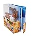Elf Pets: A Reindeer Tradition with Cuddly Reindeer and Polar Pattern Reversible Saddle Blanket and Socks