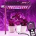 Elaine Upgraded Timer Control 600W LED Grow Light Full Spectrum Auto On/Off Timing Function with UV&IR for Indoor Plant Veg and Flower