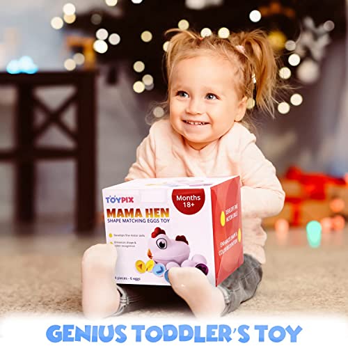 Egg Toy Set Matching Eggs for Toddlers 13 x6 Toy Eggs Play Eggs That