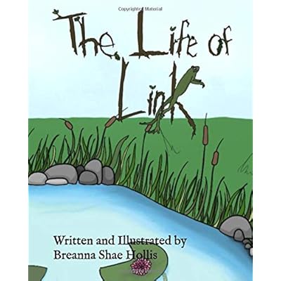 The Life of Link The Life of Link