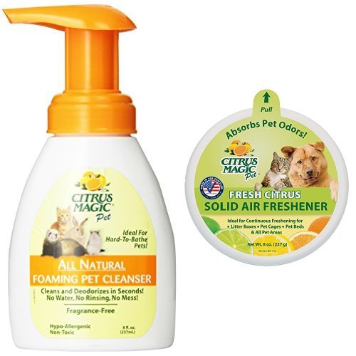 Cleaning Your Ferret's Cage Best Ferret Cages