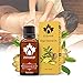 Dragon Honor NEW Lymphatic Drainage Ginger Oil [ 100% PURE Natural ] 30ml