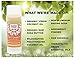 All Natural Deodorant for Women, Men & Kids | Gluten Free, Aluminum Free Deodorant with Organic Coconut Oil, Baking Soda, Arrowroot Powder and Essential Fragrance Oil –Don’t Sweat It in Citrus Fresh