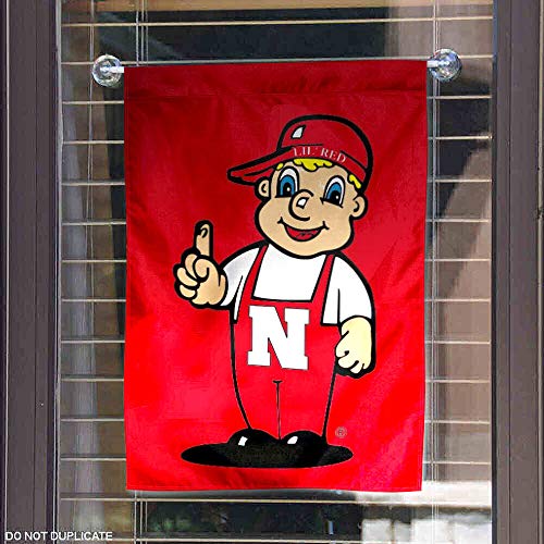 College Flags, College Banner, Pennant, Flag