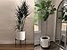 Fox & Fern Mid Century Plant Stand — 14.9 Inch Fixed Size Wooden Plant Stand for Indoor Planters (Not Included) - Extra Large Flower Pot Holder for Indoor Big Pots - Plug In Design - Acacia