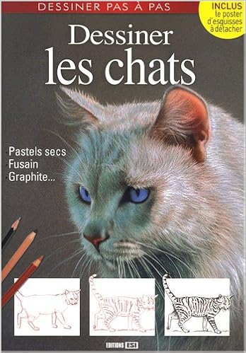 Dessiner Les Chats Collectif 9782353551453 Amazoncom Books