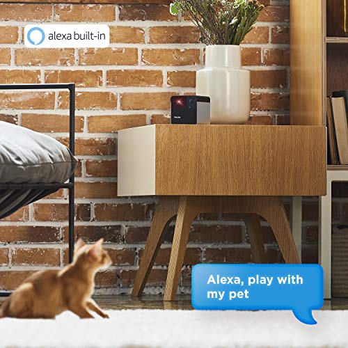 4 Petcube+Camera+Interactive+Full+Room+Alerts