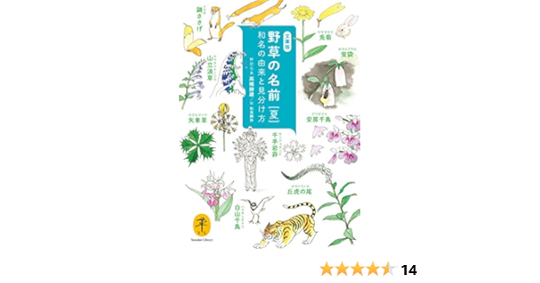 ヤマケイ文庫 野草の名前 夏 Japanese Edition 高橋 勝雄 Amazon Com