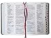 Holy Bible Bilingual (Chinese/English) New International Version