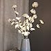 Lighted Flowers White Rose Branches 20 Inches Tall Battery Operated Warm White 40 Led Decoration Floral Branch Crafts With Timer by Babali
