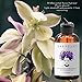 Laritelle Organic Post-Shampoo Hair Strengthening & Scalp Toning Treatment for Men & Women 3 x 2 oz | Fortifying, Strengthening & Rejuvenating | Stops Hair Shedding, Promotes New Hair Growth