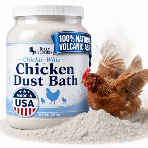 Billy Buckskin Chicken Dust Bath
