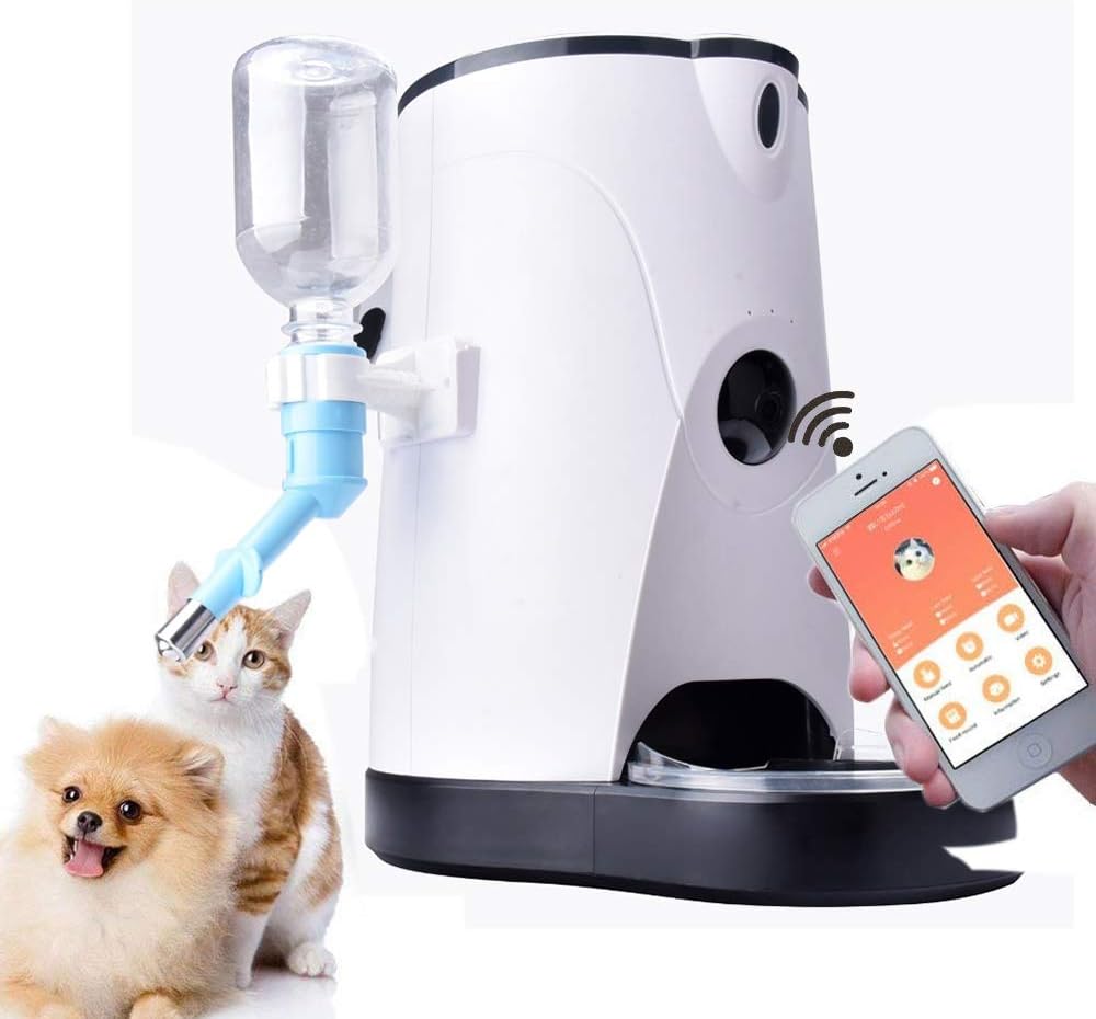 automatic treat dispenser for cats