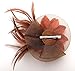 Fascinators Headband for Women Tea Party Hat Kentucky Derby Wedding Flower Mesh Feathers Hair Clip (Coffee)