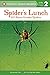Spider's Lunch: All About Garden Spiders