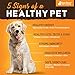 Raw Paws Sweet Potato Treats for Dogs, 6-oz - Made in The USA Training Treats for Dogs - Vegetarian, Vegan Dog Treats - Natural Sweet Potato Dog Treats - Low Fat, Gluten Free Puppy Training Treats