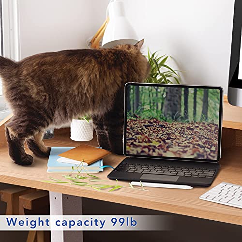 FLEXISPOT UD5 Comhar Electric Standing Desk with Hutch 2Tier 4 Hutches