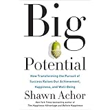 Big Potential: How Transforming the Pursuit of Success Raises Our Achievement, Happiness, and Well-Being