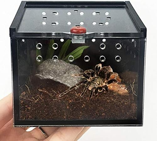 Earlyad Pet Feeding Box for Spider Lizard Frog Cricket Turtle Pet Breeding
