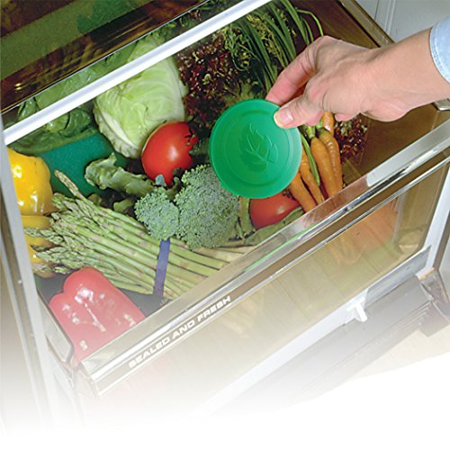 Extra Life Produce Saver Disk, Single Pricepulse