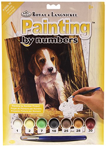 Royal & Langnickel PJS58 8 3/4 x 11 3/8 Junior Small Set Beagle Puppy