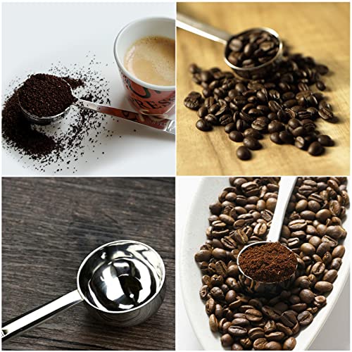 Leyaron Stainless Steel Coffee Scoop, 1 Tablespoon Measuring Spoon