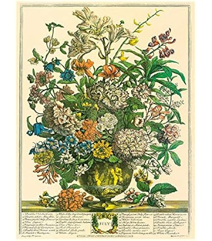 Amazon.com: Robert Furber - Twelve Months of Flowers 1730/November