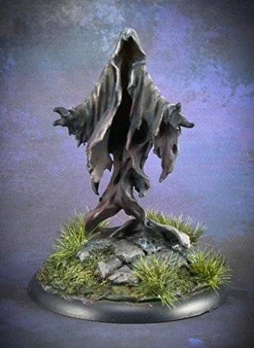 Death Shroud - 1 Unpainted 25mm Heroic Scale Miniature - Dark Heaven Legends by Reaper Miniatures