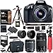 Canon EOS Rebel T6 DSLR Camera Kit, EF-S 18-55mm is II Lens, EF 75-300mm III Lens, RitzGear Wide Angle, Telephoto Lens, 64GB U3 and Accessory Bundle