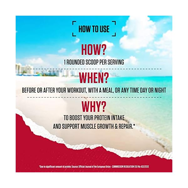 BSN Nutrition Protein Powder Syntha 6 Edge Low Carb and Sugar Whey Protein Shake with Whey Protein Isolate, Micellar…