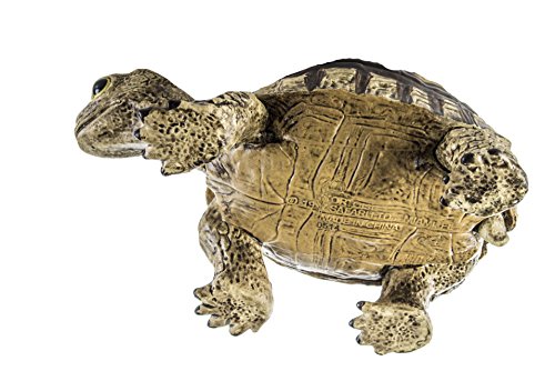Safari Ltd  Incredible Creatures Tortoise