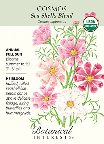 Organic Sea Shells Blend Cosmos Seeds - 500 mg Organic Sea Shells Blend Cosmos Seeds - 500 mg
