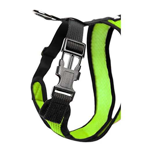 Gooby Choke Free X Frame Soft Harness with Micro Suede Trimming for Small Dogs, Medium, Green